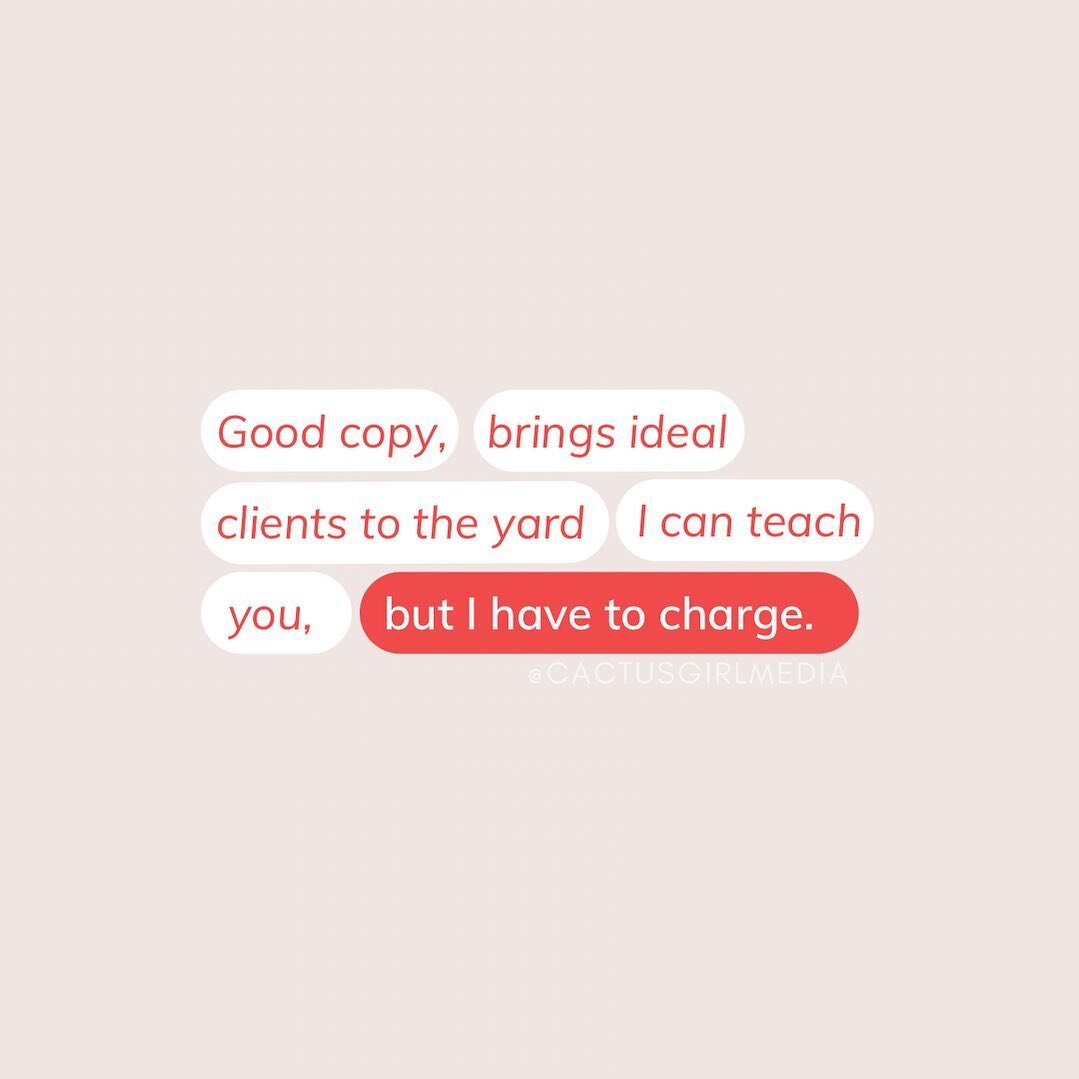 Let&rsquo;s work together😍 

DM me or head to my link in bio to get connected!
.
.
.
#copywritingqueen 
#copywritingforcreatives 
#copywritingtips 
#copyforcreatives 
#copywritingforbusiness 
#copywritingforcoaches 
#smallbusinessesmatter 
#smallbus