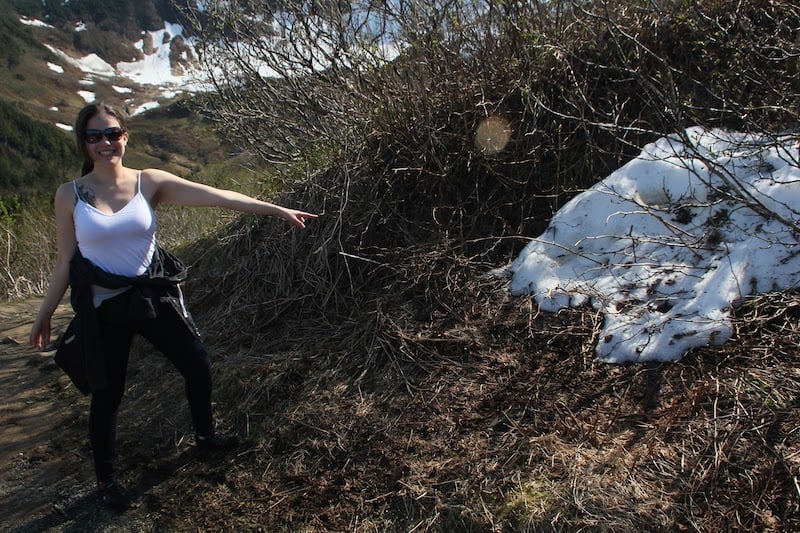 It Can Get Warm in the Summer but the Snow Persists into May