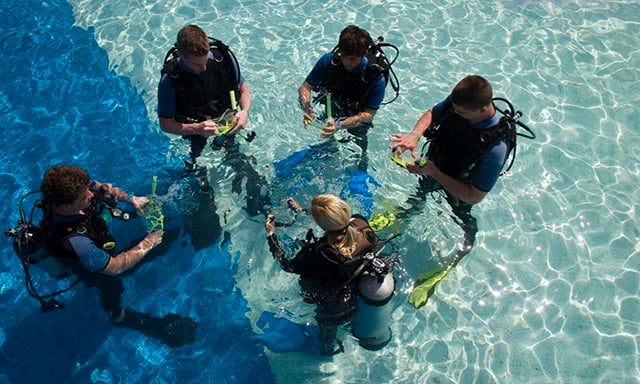 Royal Caribbean PADI scuba diving dive shop